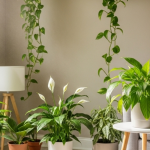 The Root of Wellness: How Indoor Plants Cultivate a Healthier You