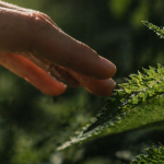 Stinging Nettle Benefits: The Weed You’ve Been Ignoring