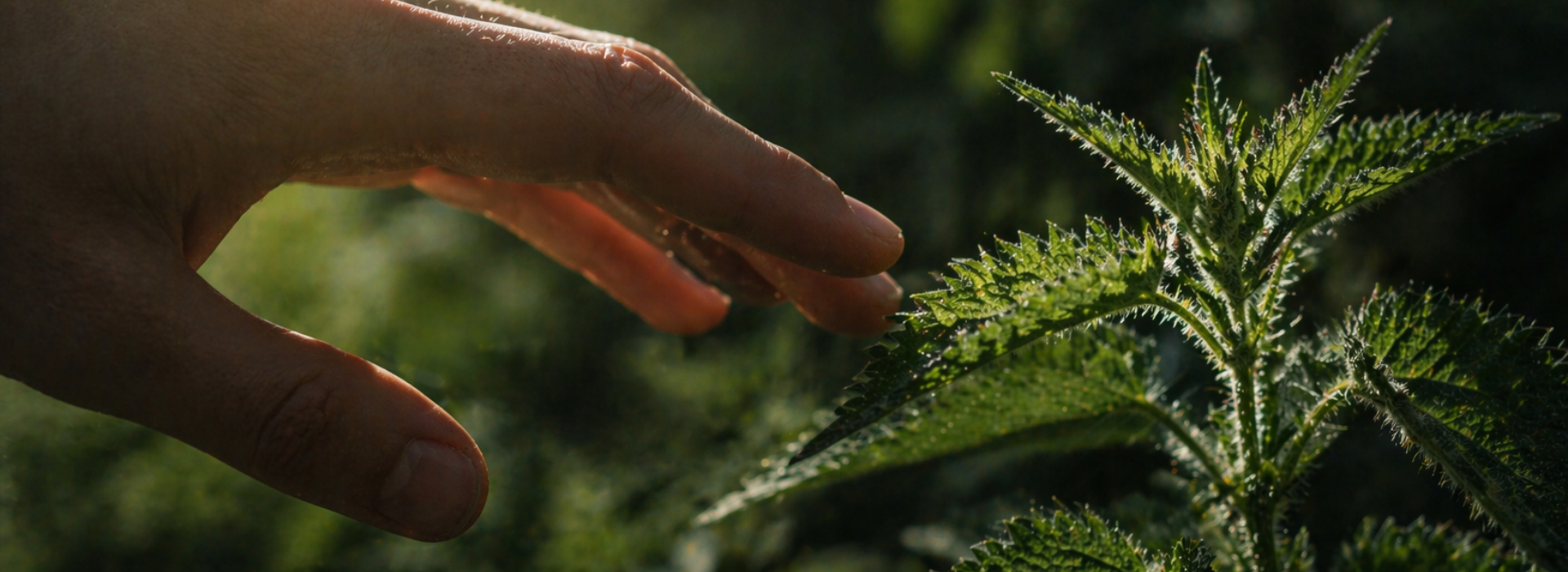 Touching Stinging Nettles